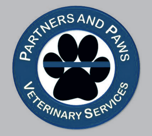 Custom Temporary Tattoos Are "Pawfect" for A Veterinarian