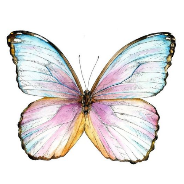 Classic Temporary Tattoo