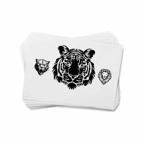 Lions, Tigers and Bears