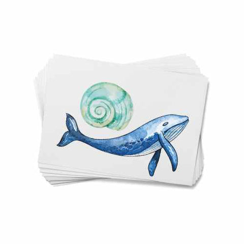 Ocean Life