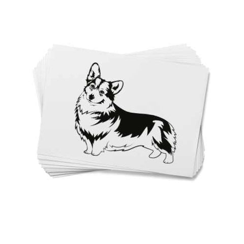 Animal Temporary Tattoos