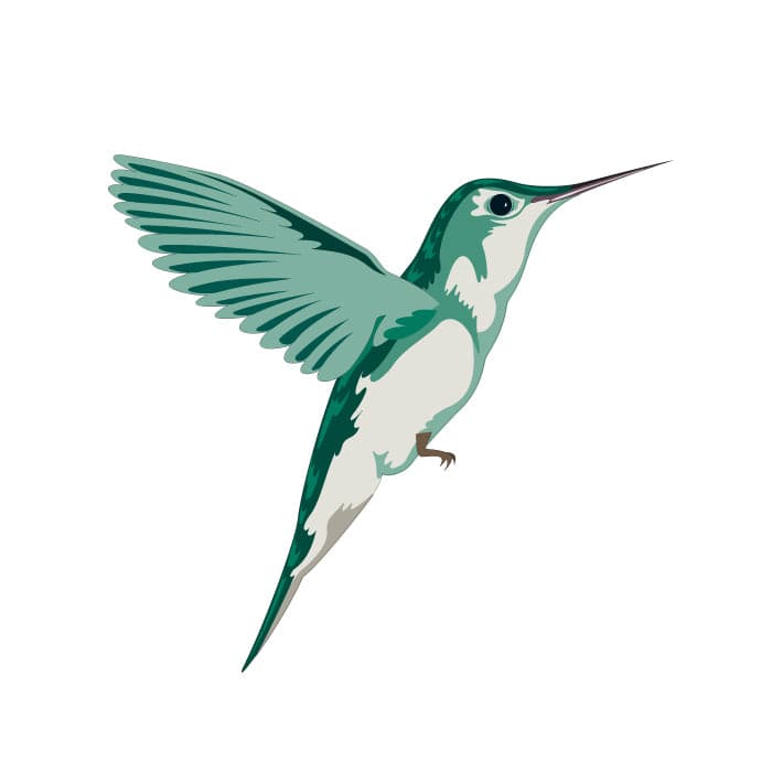 Hummingbird Temporary Tattoo 1.5 in x 1.5 in