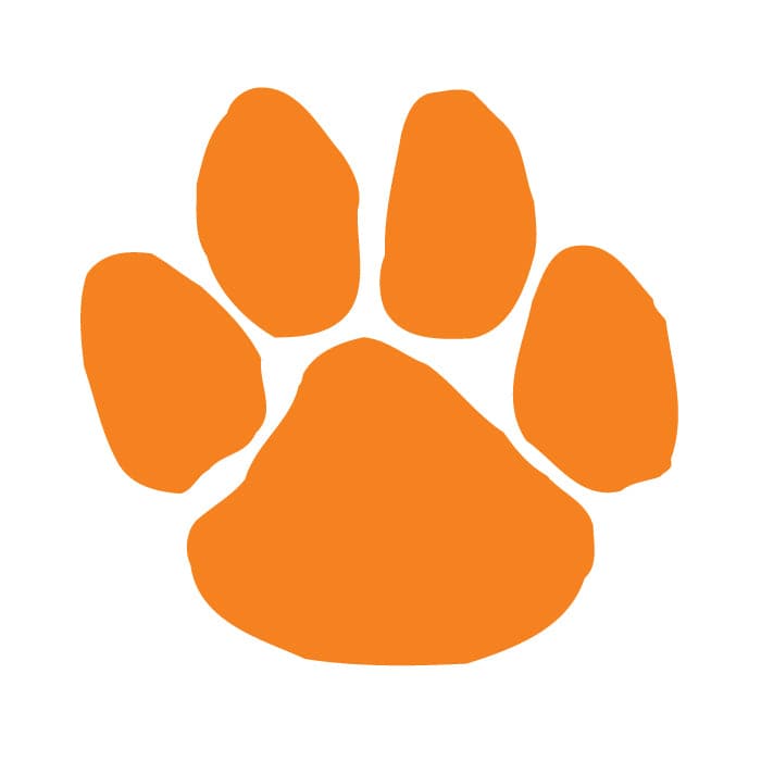 Orange Paw Print Temporary Tattoo 1.5 in x 1.5 in