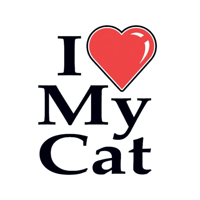 I Heart My Cat Temporary Tattoo 2 in x 2 in