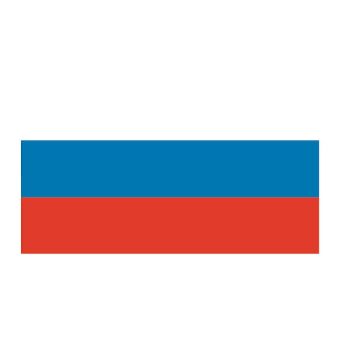 Russia Flag Temporary Tattoo 2 in x 1.5 in
