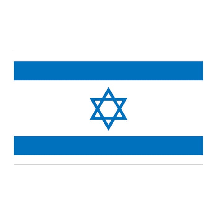 Israel Flag Temporary Tattoo 2 in x 1.5 in