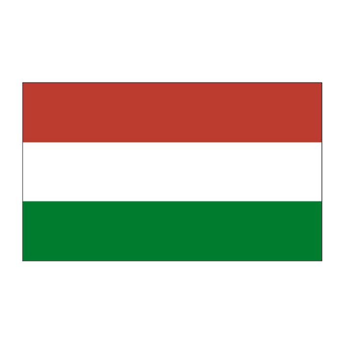 Hungary Flag Temporary Tattoo 2 in x 1.5 in