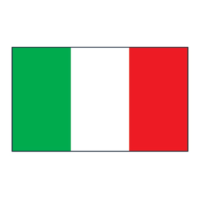 Italy Flag Temporary Tattoo 2 in x 1.5 in
