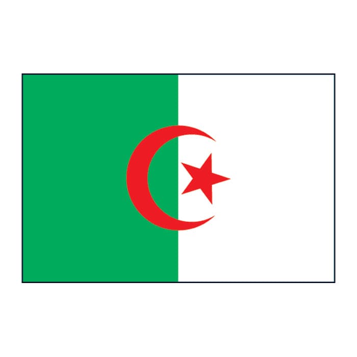 Algeria Flag Temporary Tattoo 2 in x 1.5 in