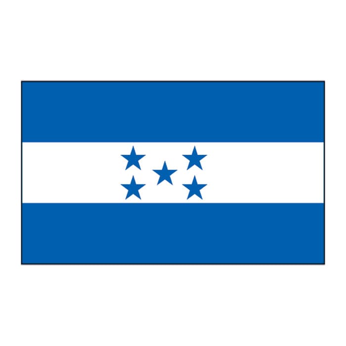Honduras Flag Temporary Tattoo 2 in x 1.5 in