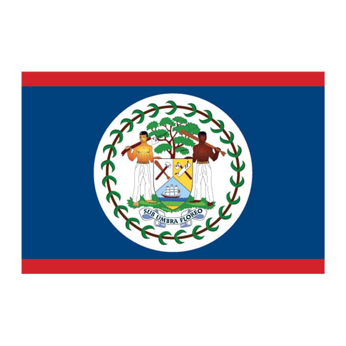 Belize Flag Temporary Tattoo 2 in x 1.5 in