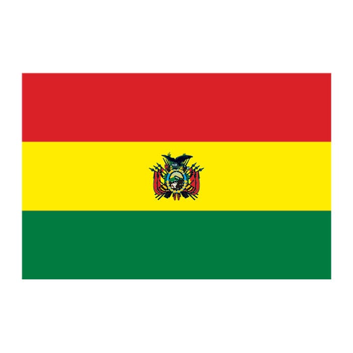 Bolivia Flag Temporary Tattoo 2 in x 1.5 in