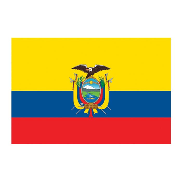 Flag of Ecuador Temporary Tattoo 2 in x 1.5 in