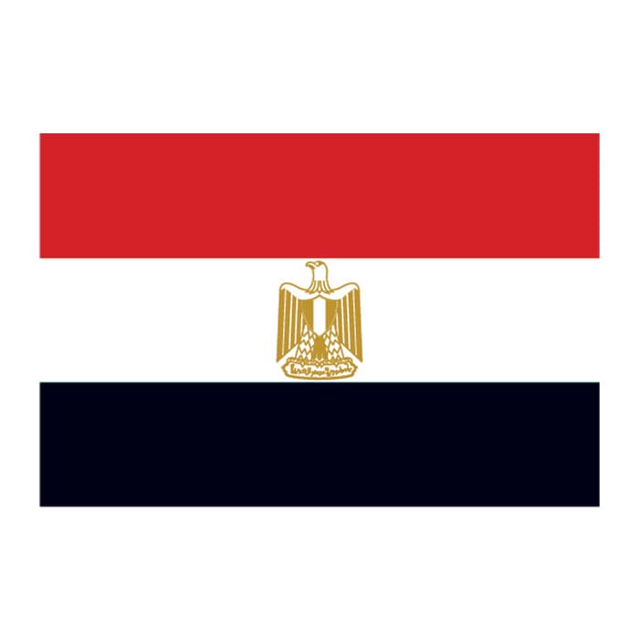 Egypt Flag Temporary Tattoo 2 in x 1.5 in