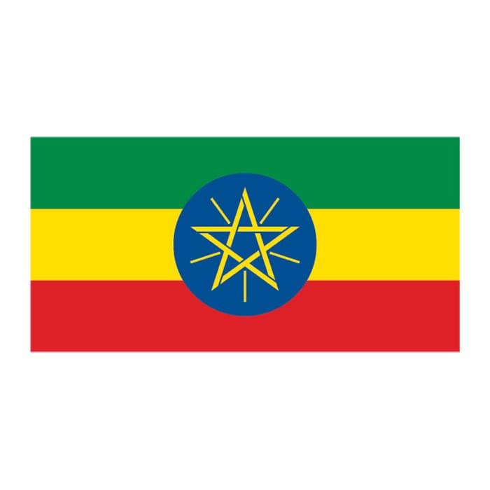 Flag of Ethiopia Temporary Tattoo 2 in x 1.5 in