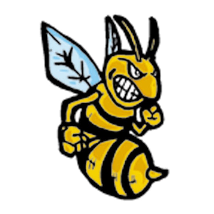 Hornets Temporary Tattoo 2 in x 2 in
