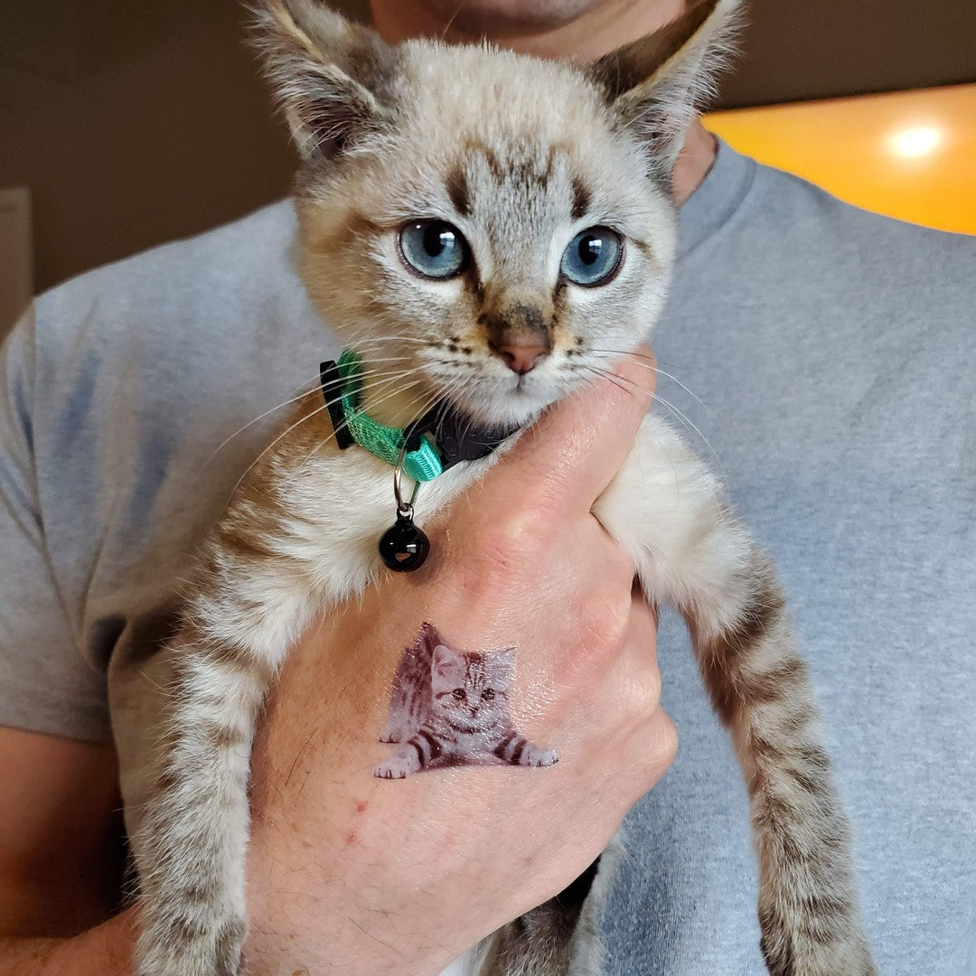 Gray Cat Tattoo