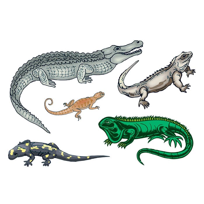 Reptiles Set of Temporary Tattoos 3.5 in x 2.5 in