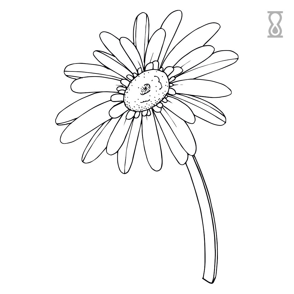 Line Daisy Semi-Permanent Tattoo 1.5 in x 1.5 in