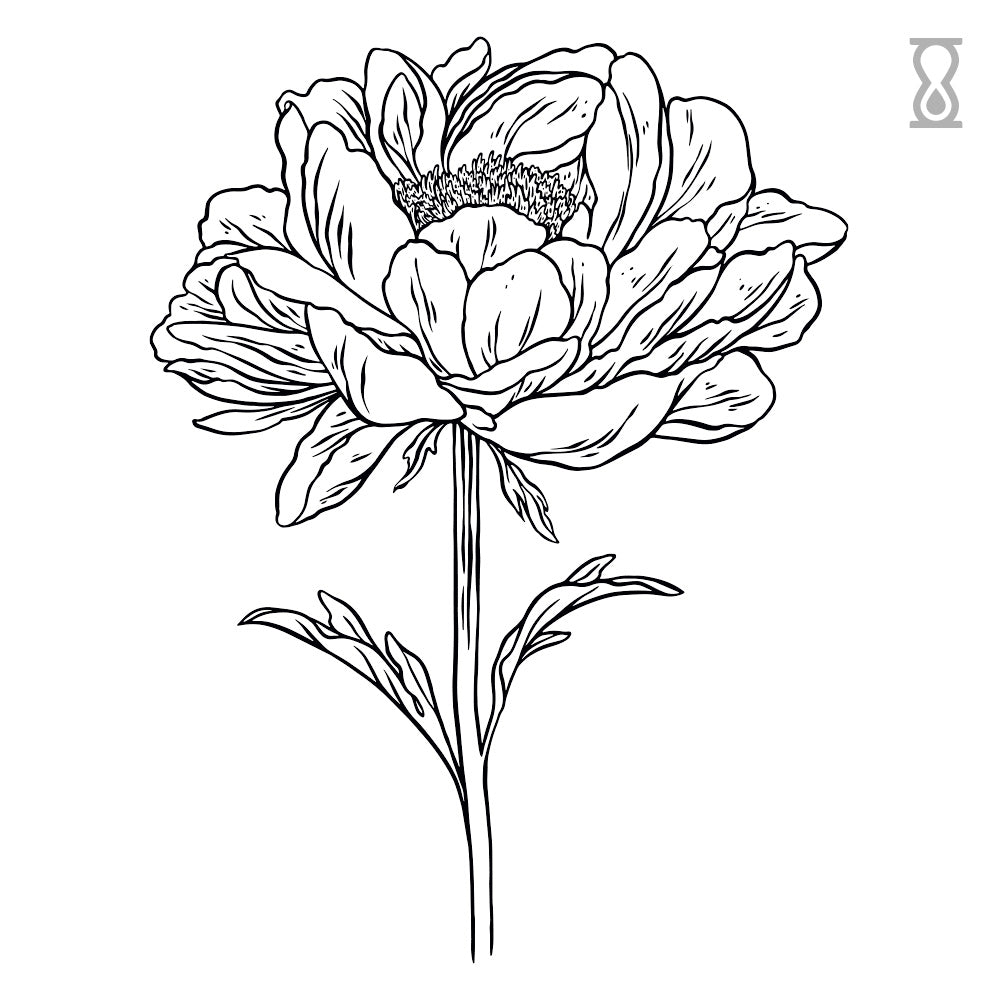 Single Peony Semi-Permanent Tattoo 4 in x 4 in