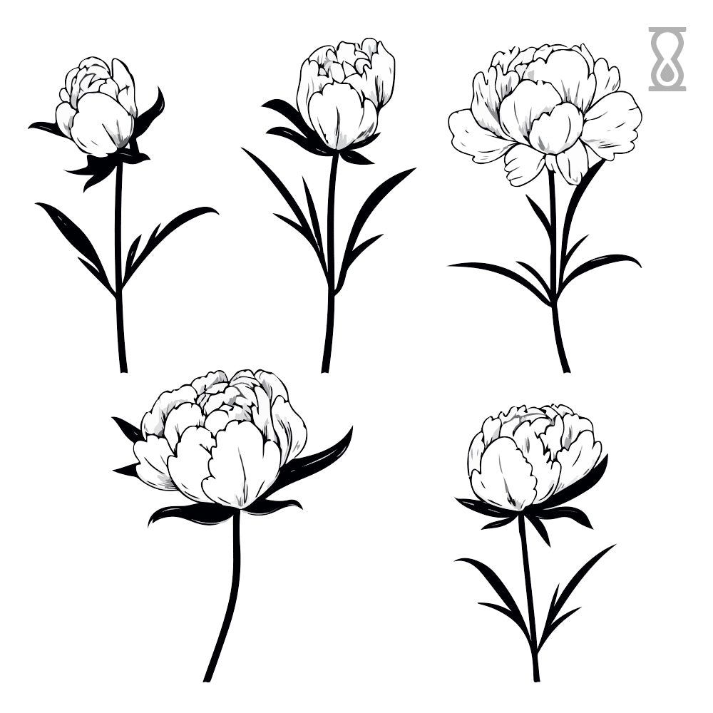 Peony Life Flower Semi-Permanent Tattoo 2 in x 2 in