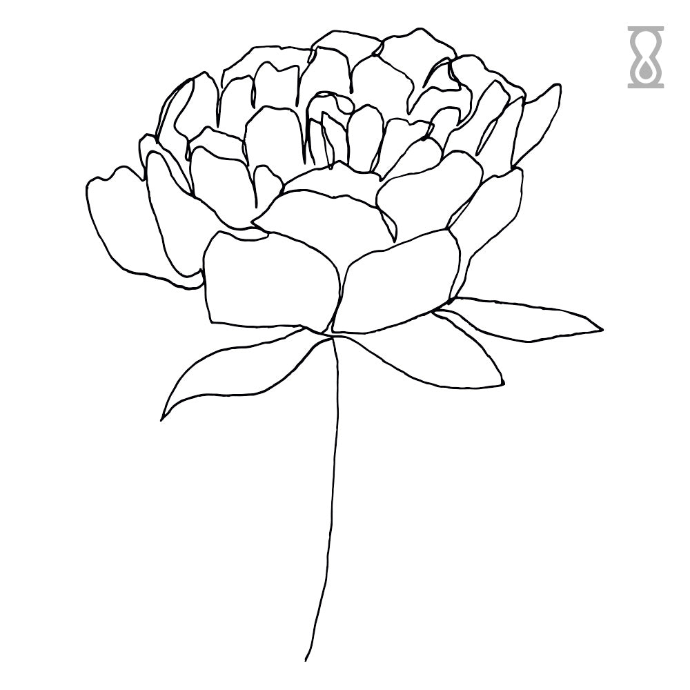 Minimalist Peony Semi-Permanent Tattoo 2 in x 2 in