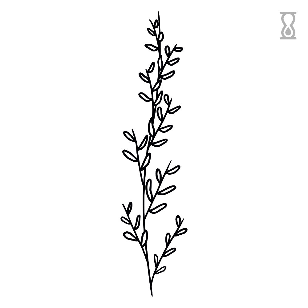 Museum People's Tattoos: Ginkgo Leaves, image size:1000x1000