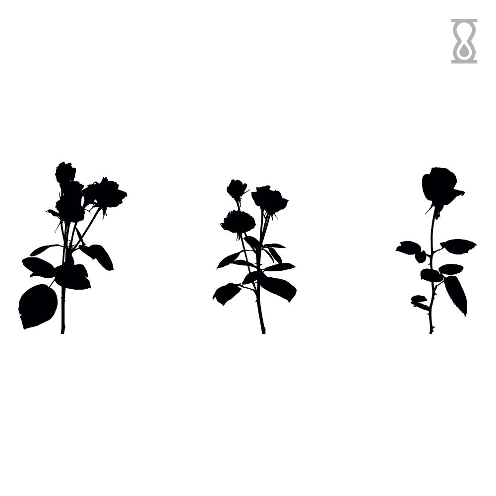 Set of 3 Roses Semi-Permanent Tattoo 2 in x 3 in