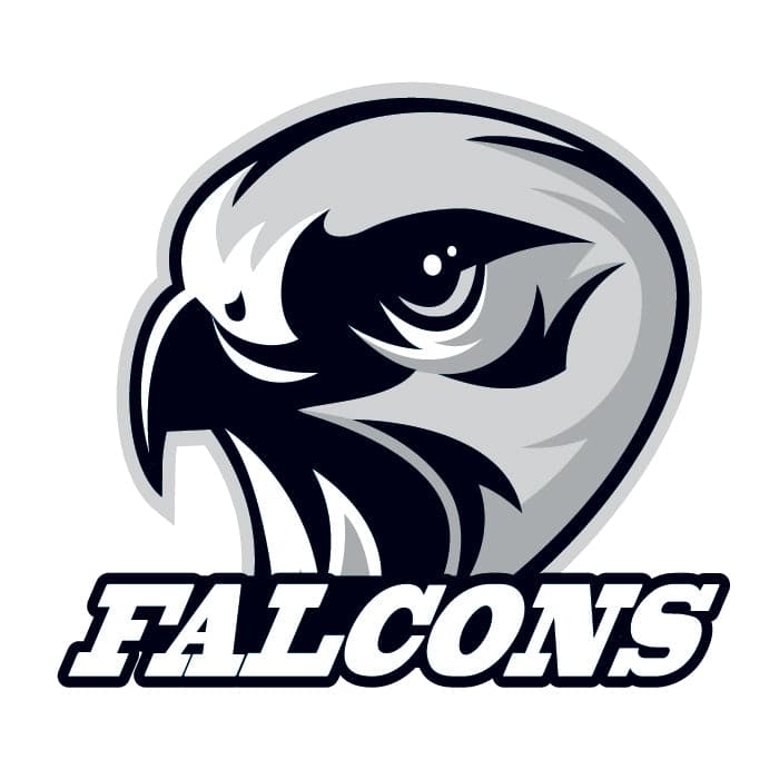Falcons Temporary Tattoo 2 in x 2 in