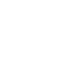 White Shipping Box