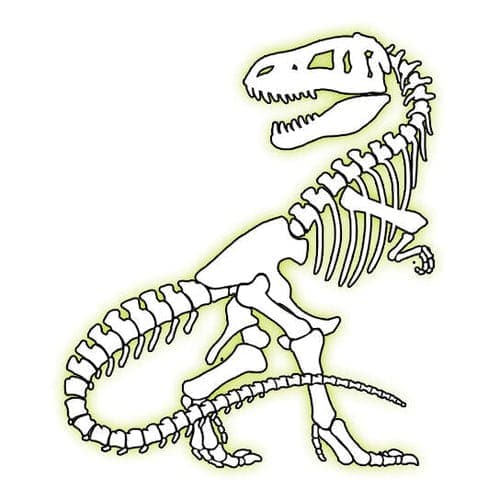 Glow  in the dark T Rex