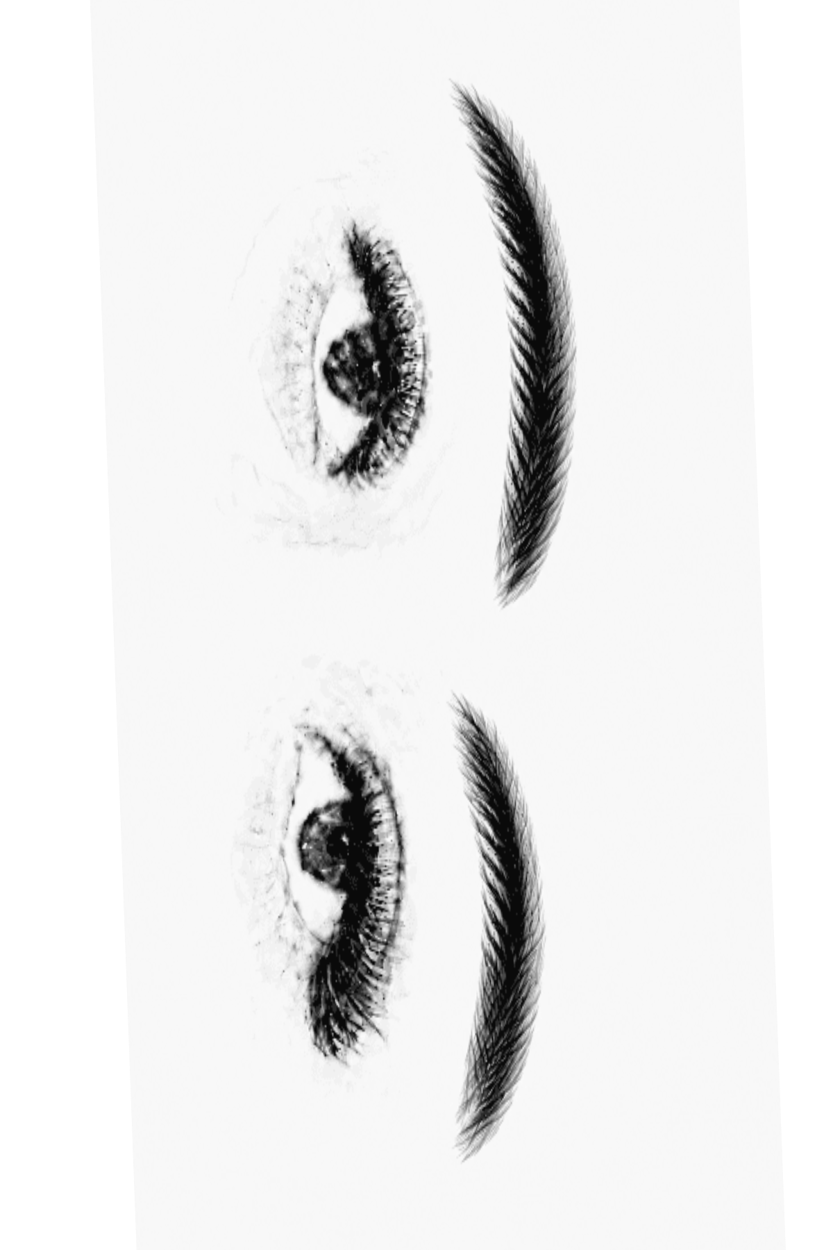 Semi-Permanent - Black Line Only