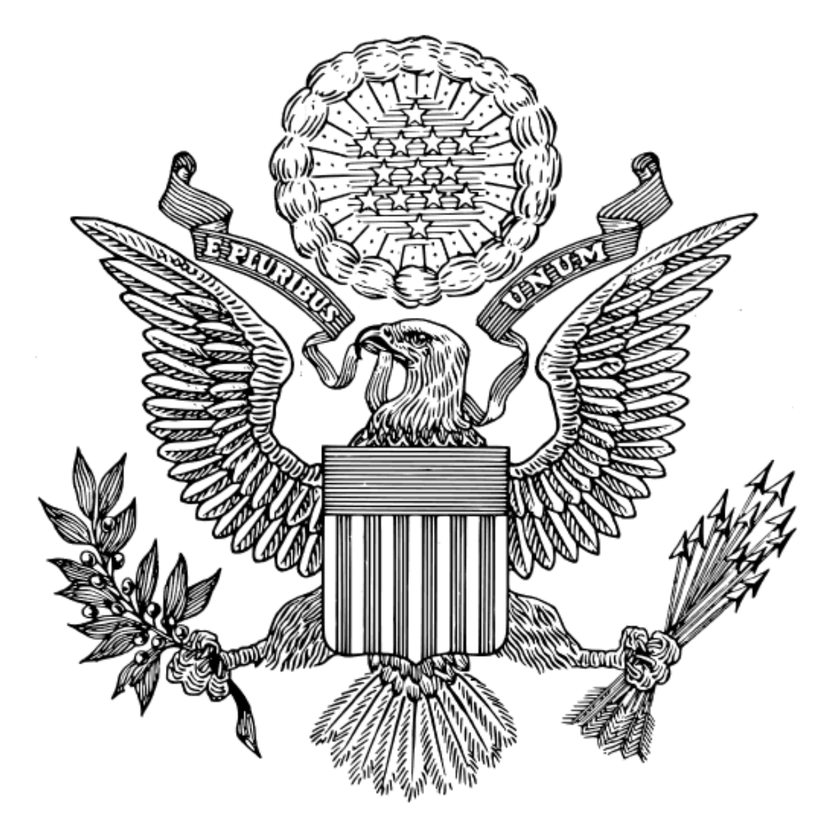 Semi-Permanent - Black Line Only