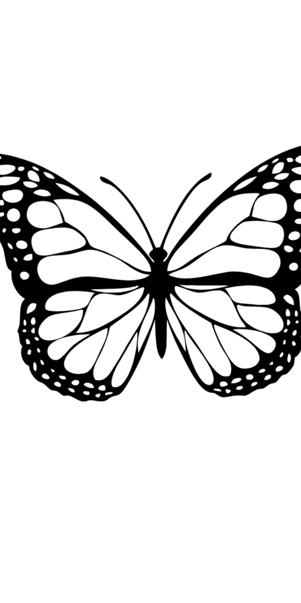 Semi-Permanent - Black Line Only