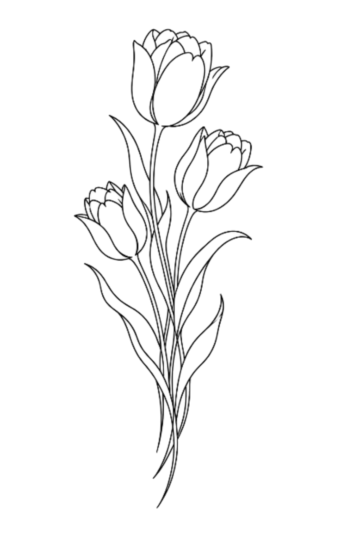 Semi-Permanent - Black Line Only