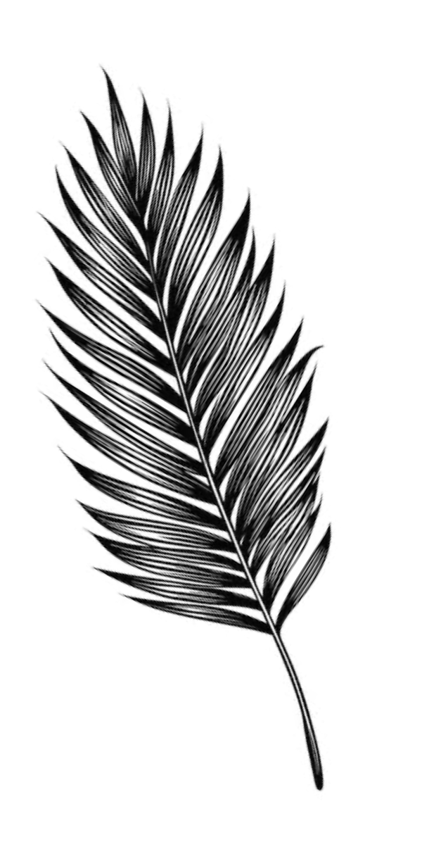 Semi-Permanent - Black Line Only