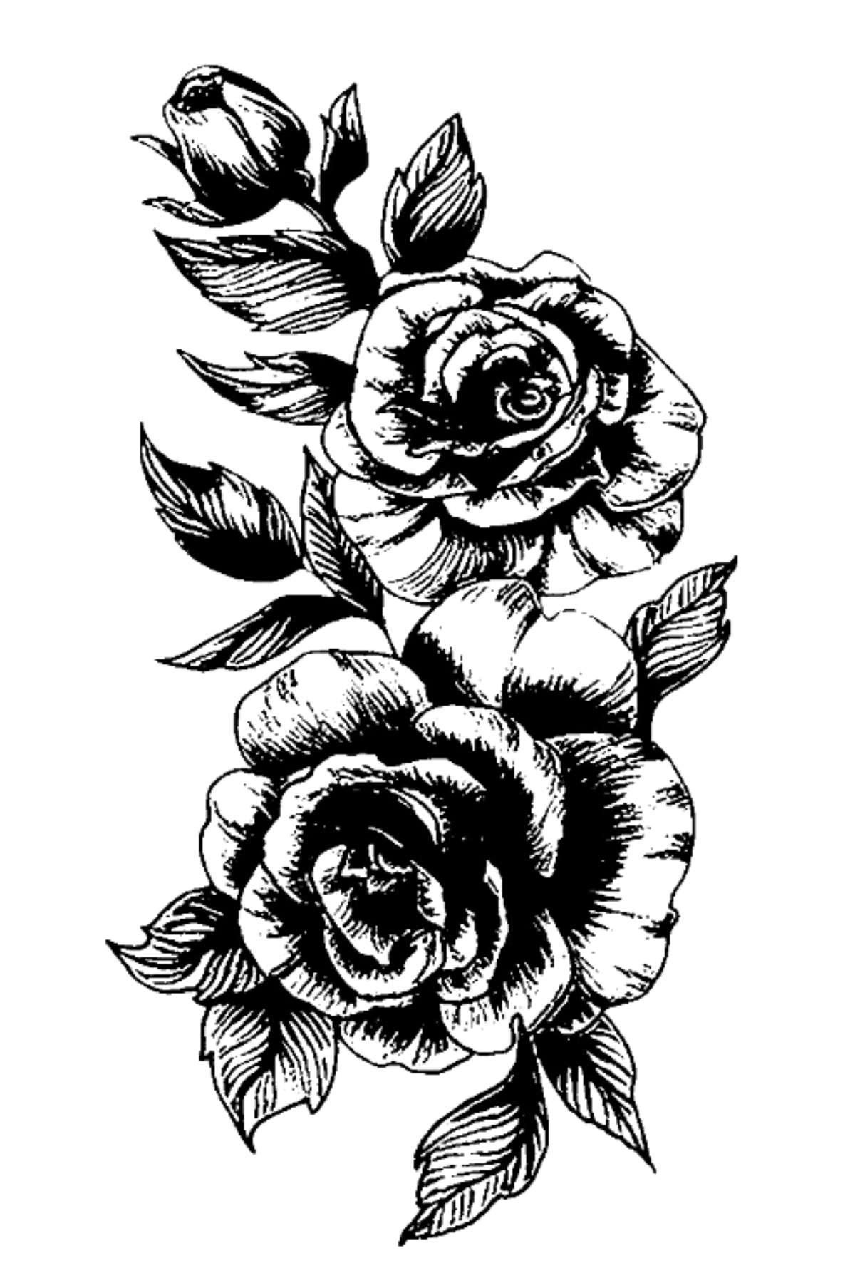 Semi-Permanent - Black Line Only