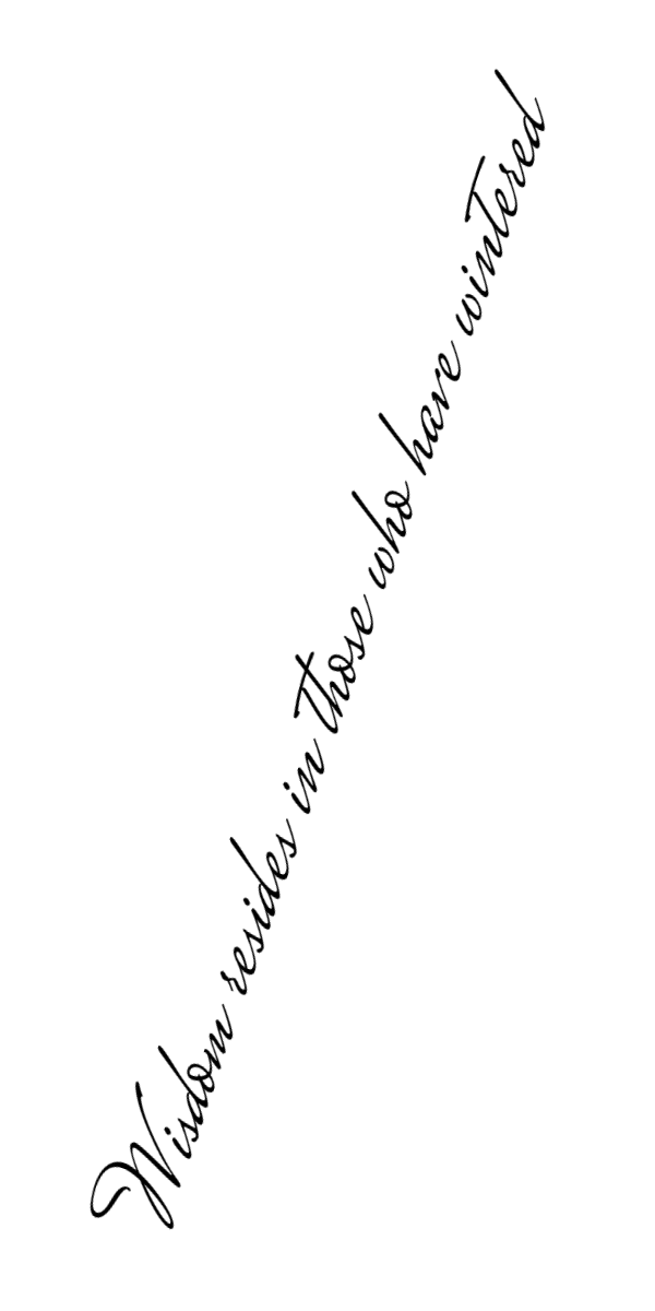 Semi-Permanent - Black Line Only