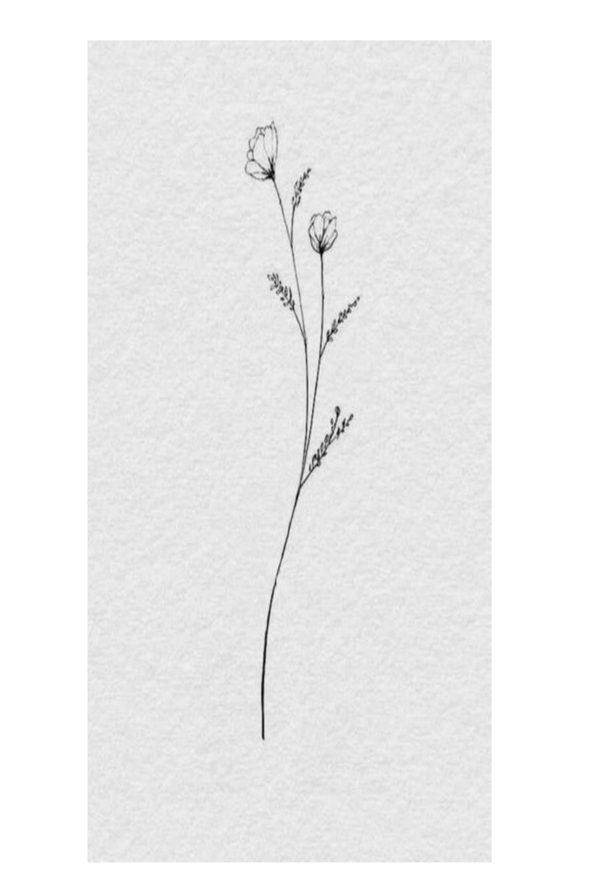 Semi-Permanent - Black Line Only