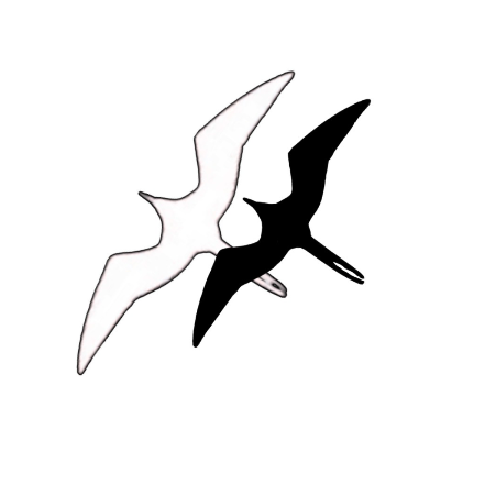 Semi-Permanent - Black Line Only