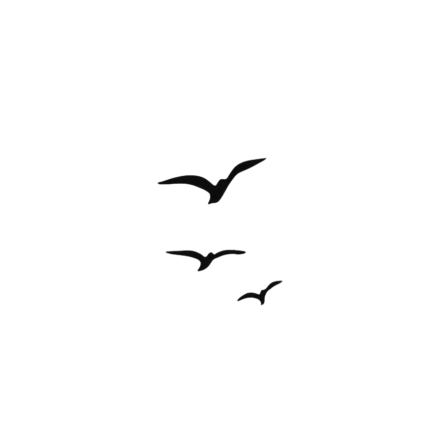 Semi-Permanent - Black Line Only