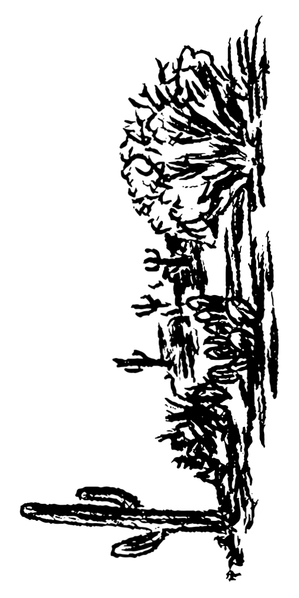 Semi-Permanent - Black Line Only