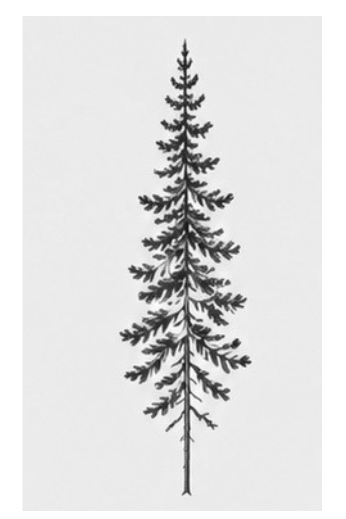 Semi-Permanent - Black Line Only