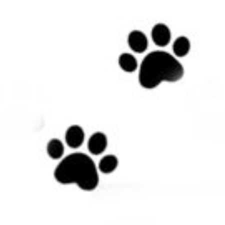 Semi-Permanent - Black Line Only