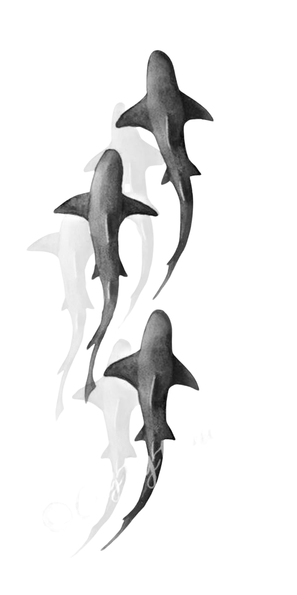 Semi-Permanent - Black Line Only