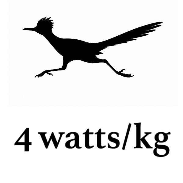 Semi-Permanent - Black Line Only