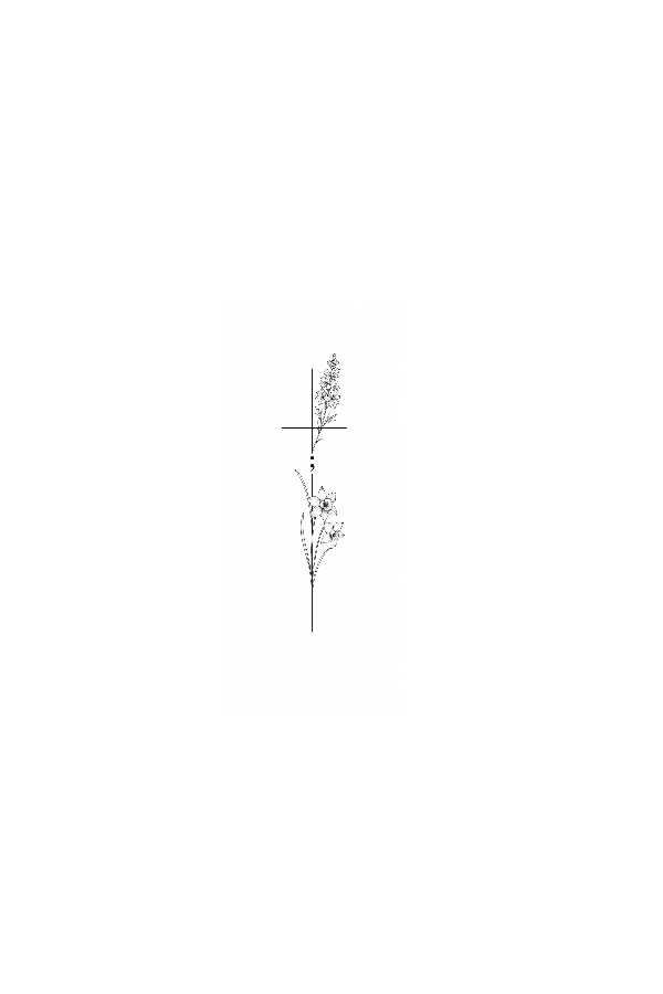 Semi-Permanent - Black Line Only
