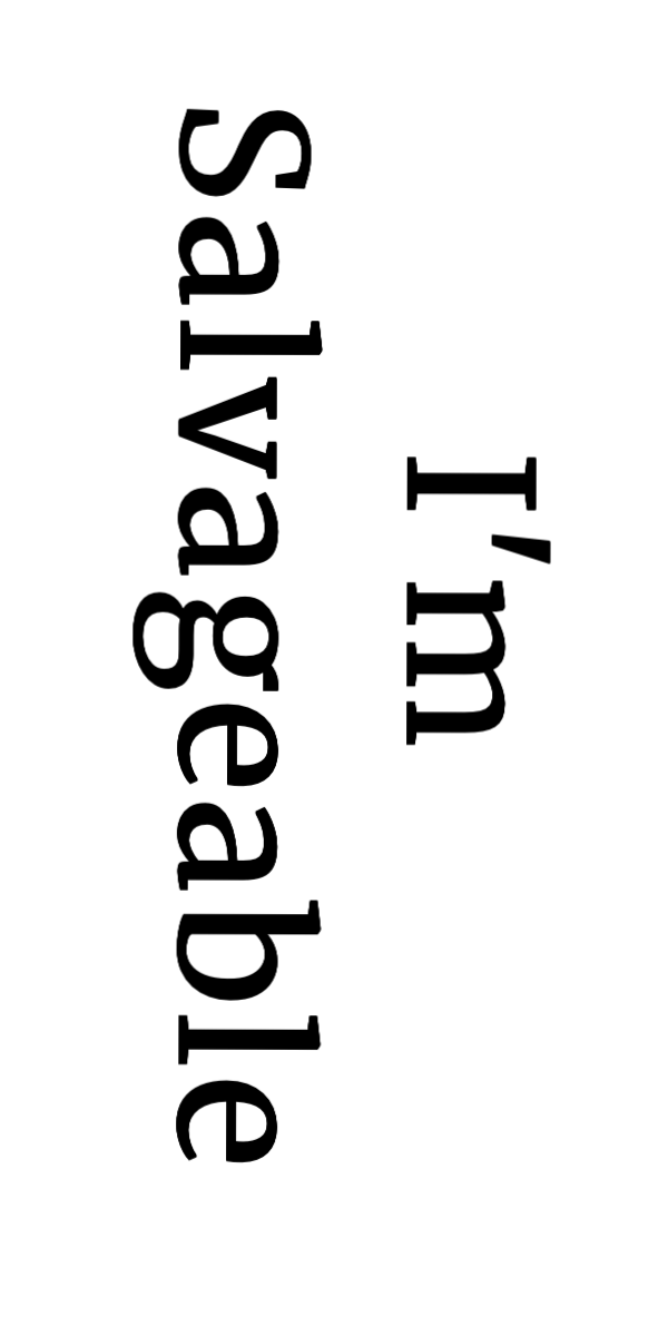 Semi-Permanent - Black Line Only