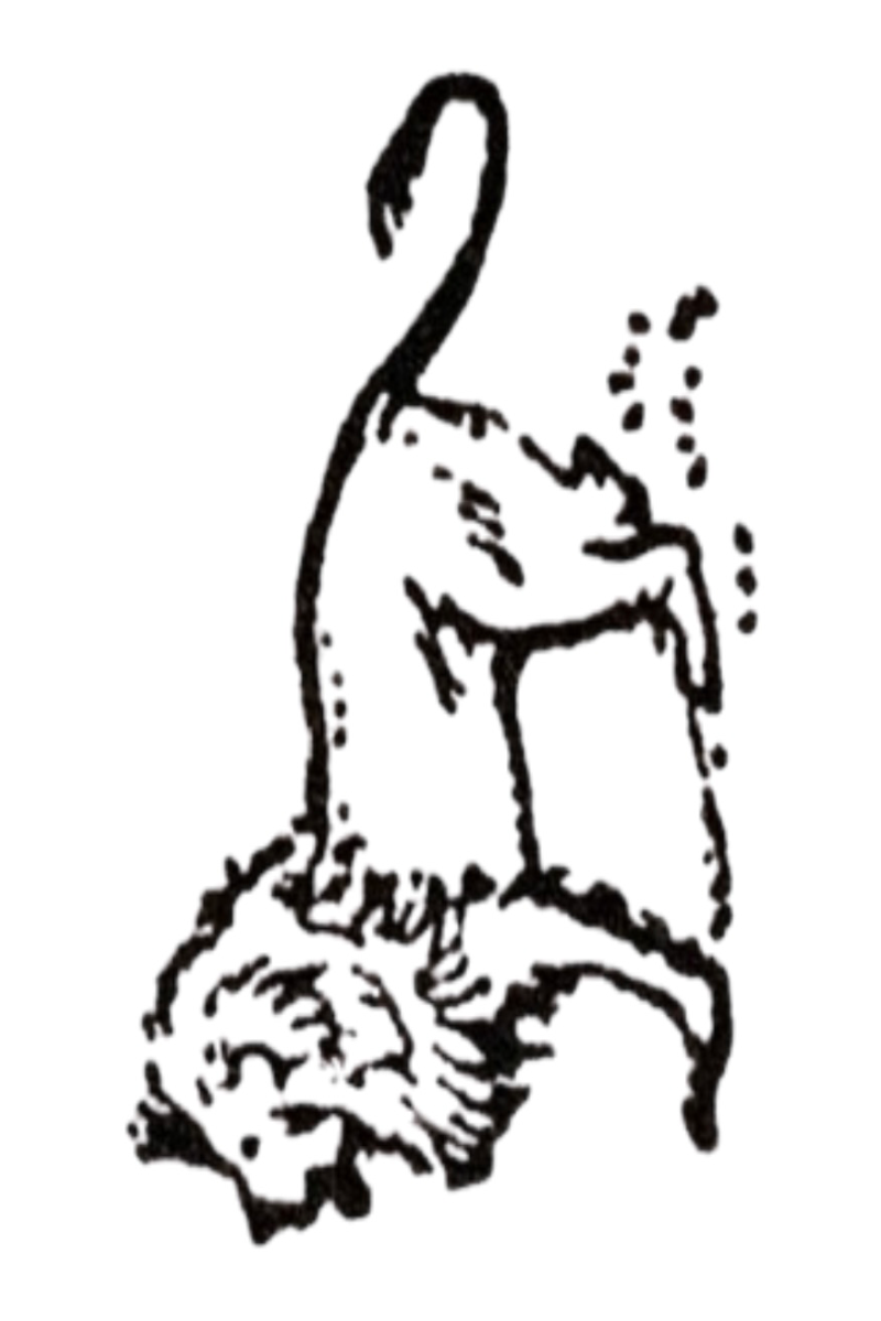 Semi-Permanent - Black Line Only