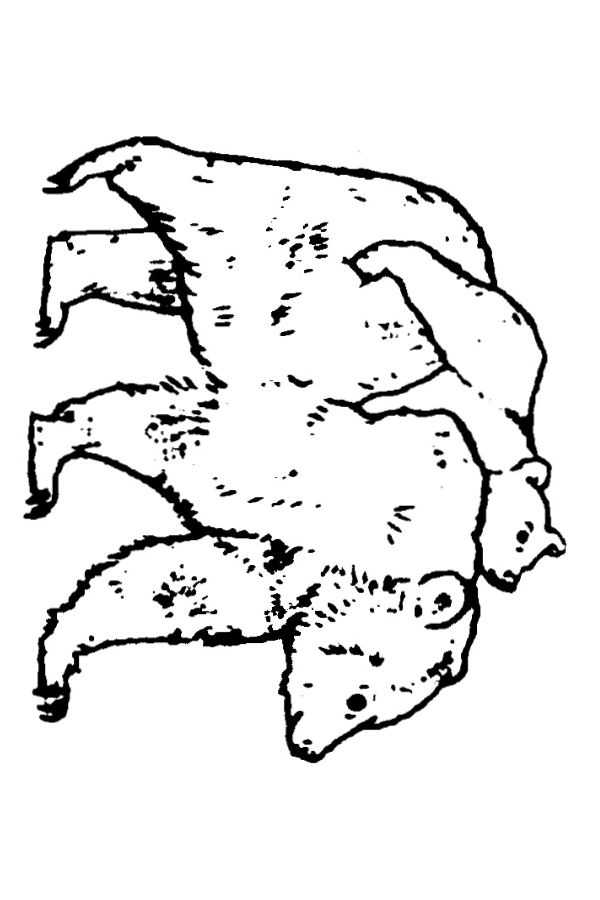 Semi-Permanent - Black Line Only